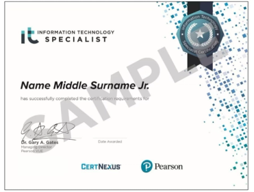 Information Technology (IT) Specialist (ITS)
