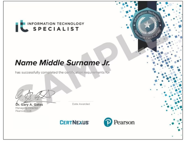 Information Technology (IT) Specialist (ITS)