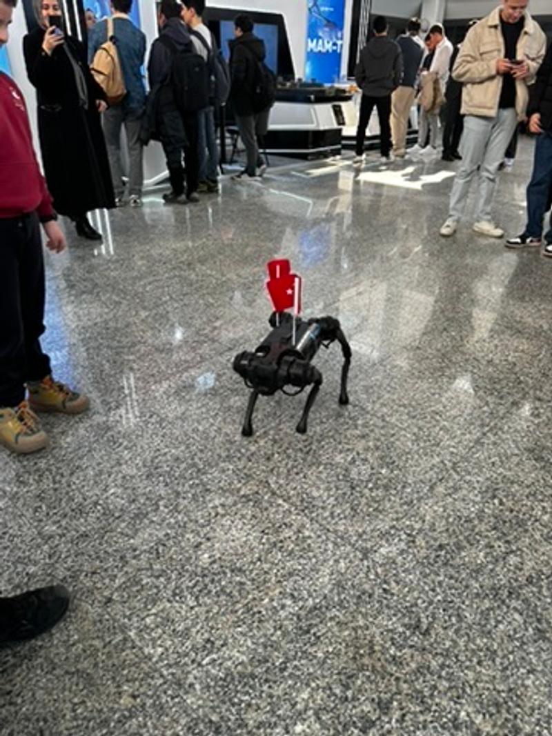 robot köpek