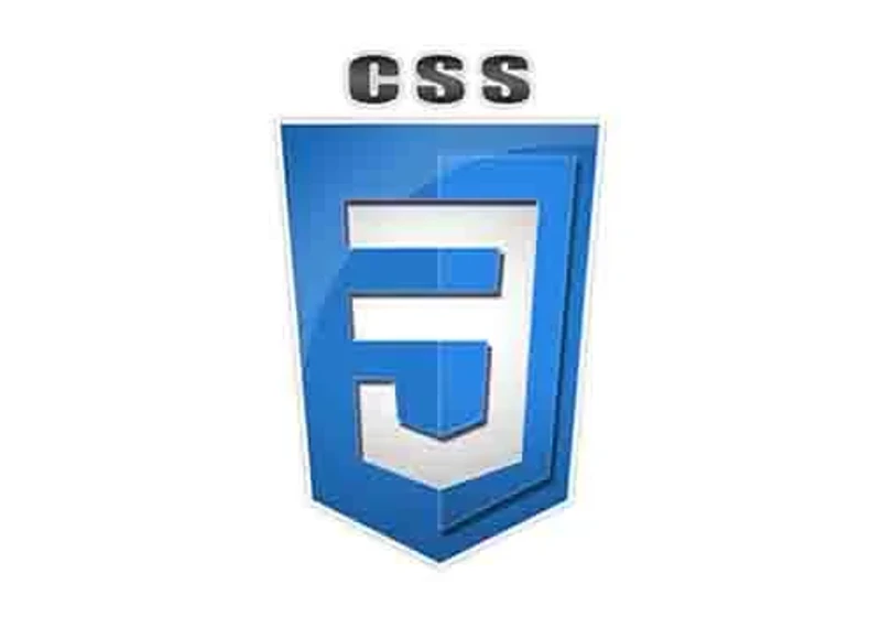 css3