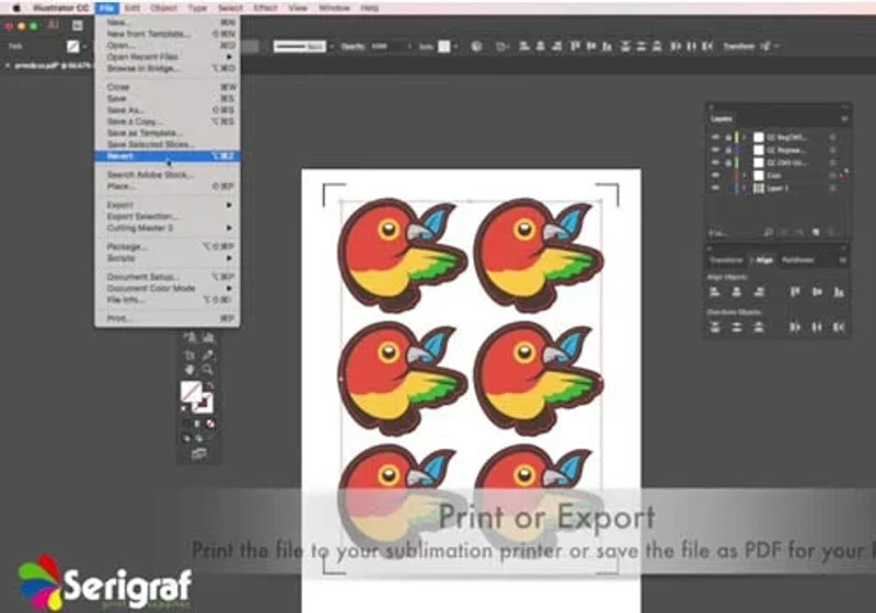 ıllustrator baskı ve montaj uygulamaları