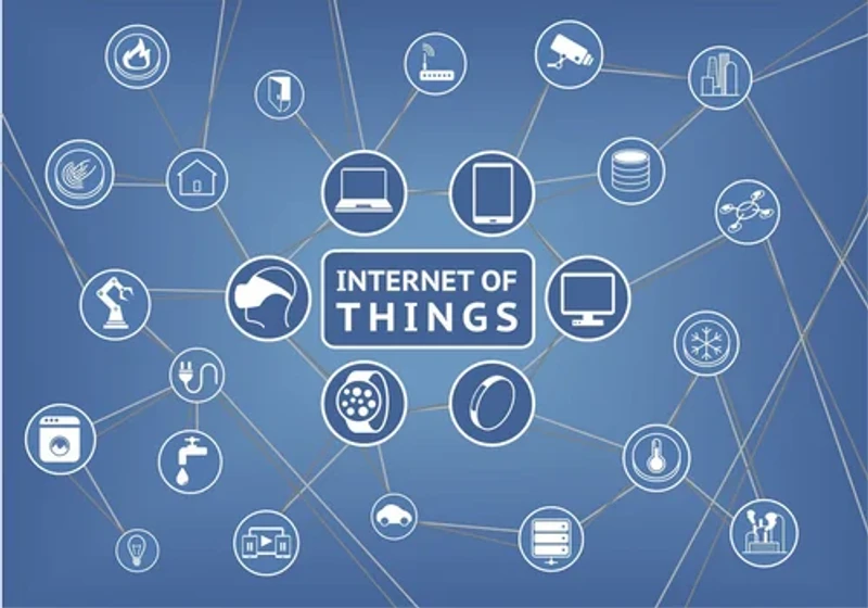 network ve ağ temelleri