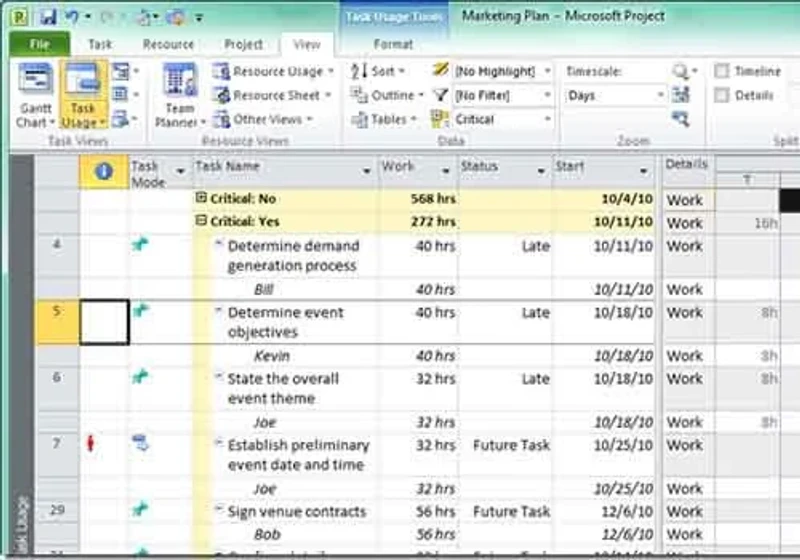 microsoft project