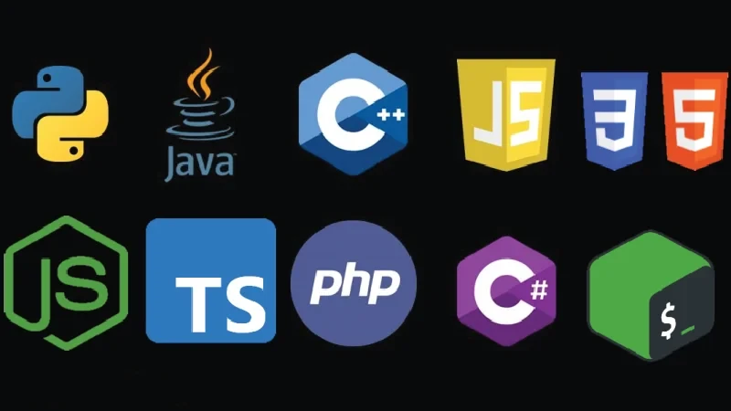 temel programlama bılgısı